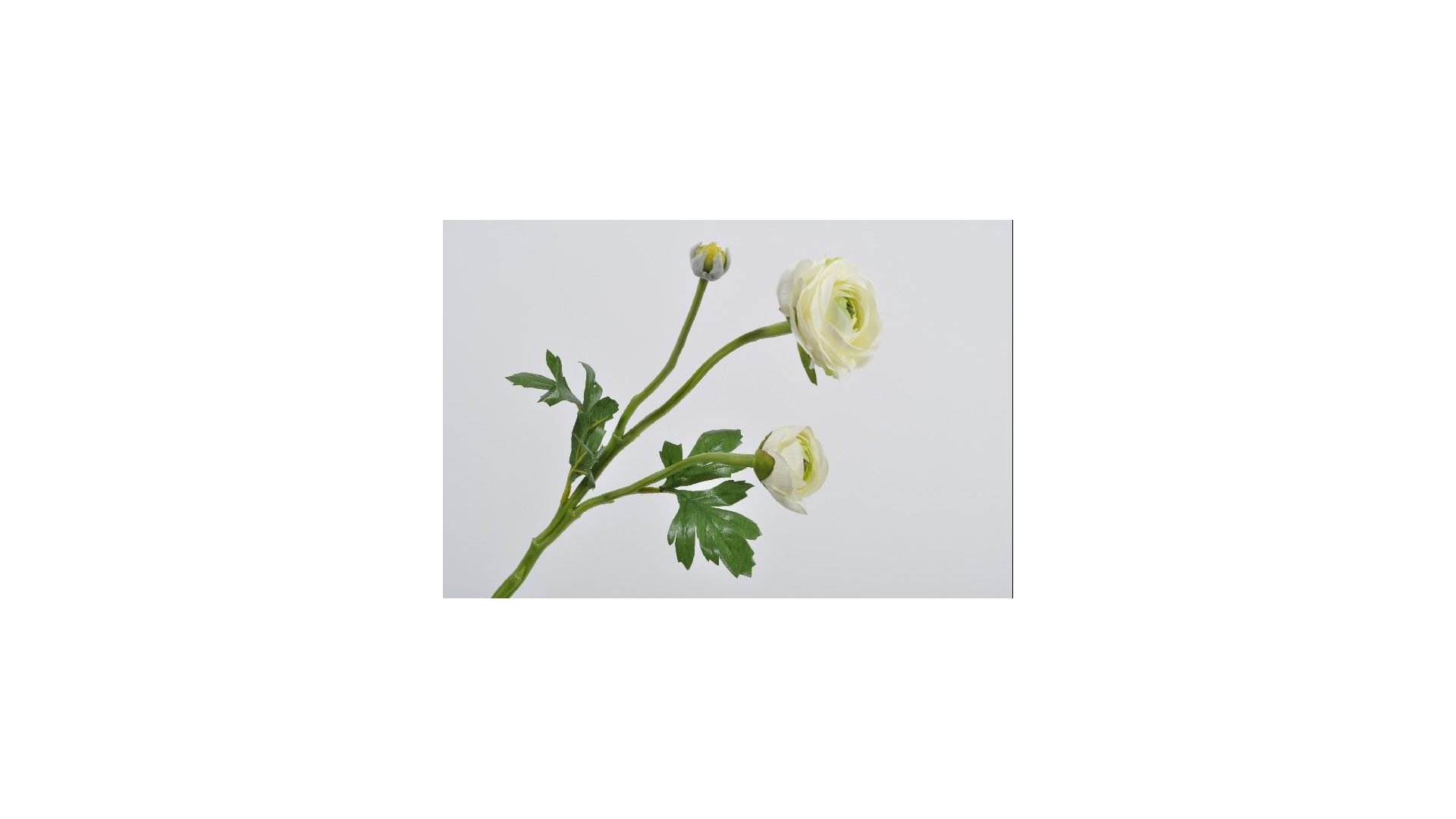 Цветок искусственный Silk-ka "Ранункулюс" 41см (кремовый)