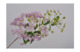 Цветок искусственный Silk-ka"Гортензия" 64см (розовый)