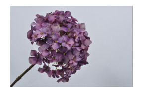 Цветок искусственный Silk-ka "Гортензия" 68см (лавандовый)