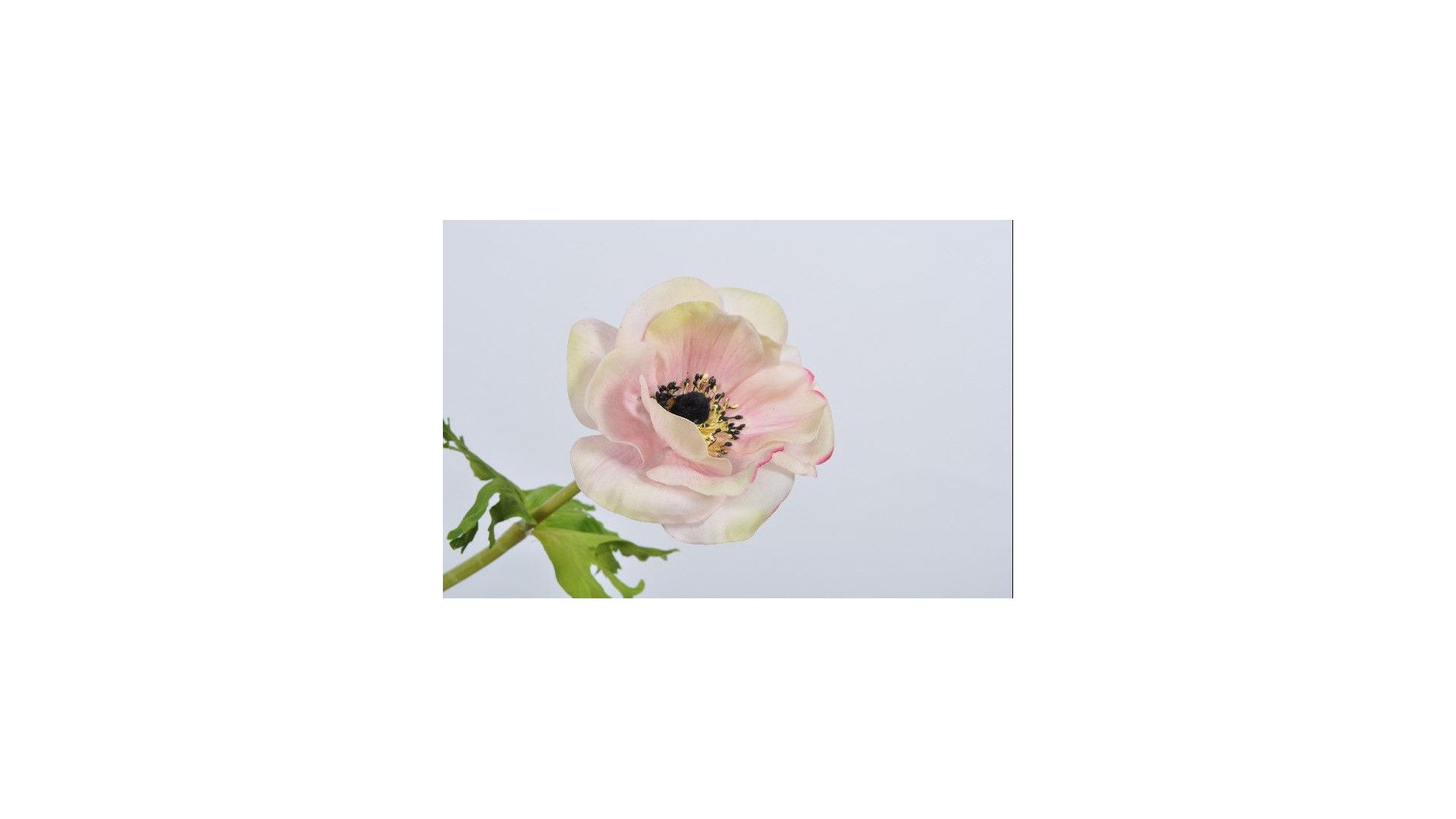 Цветок искусственный Silk-ka "Анемон" 44см (бело-розовый)