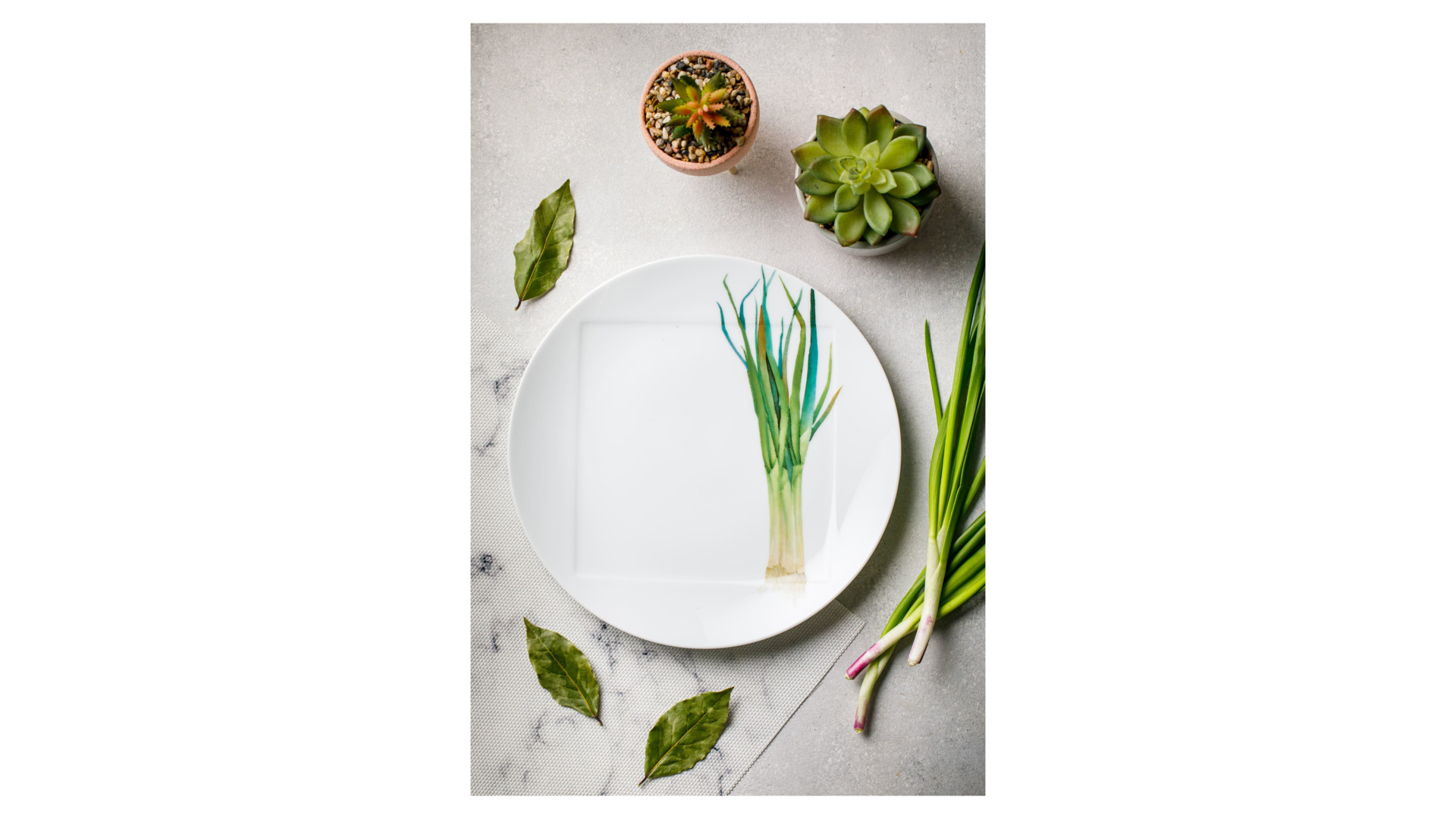 Тарелка обеденная Noritake Овощной букет Зеленый лук 27 см, фарфор
