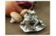 Набор для соли и перца Vagabond House Лягушка с листом кувшинки 7 см, олово