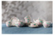 Сервиз чайный Мануфактура Гарднеръ Невеста на 6 персон 15 предметов, фарфор
