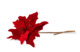 Украшение декоративное Goodwill Пуансеттия 50 см, красное