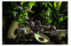 Тарелка закусочная Bordallo Pinheiro Тропические фрукты Авокадо 25х21 см, керамика