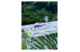 Скатерть прямоугольная Atmosphere Номе Лесная флора 200х145 см, хлопок