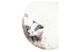 Тарелка для пасты Royal Worcester Забавная фауна Барсук 22 см, фарфор