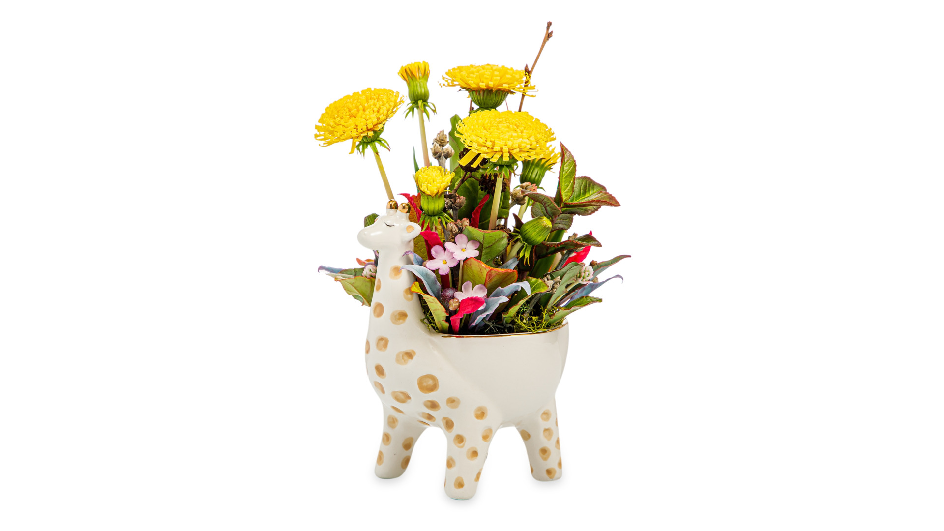 Одуванчики с полевыми цветами и травами из холодного фарфора в керамическом кашпо жираф