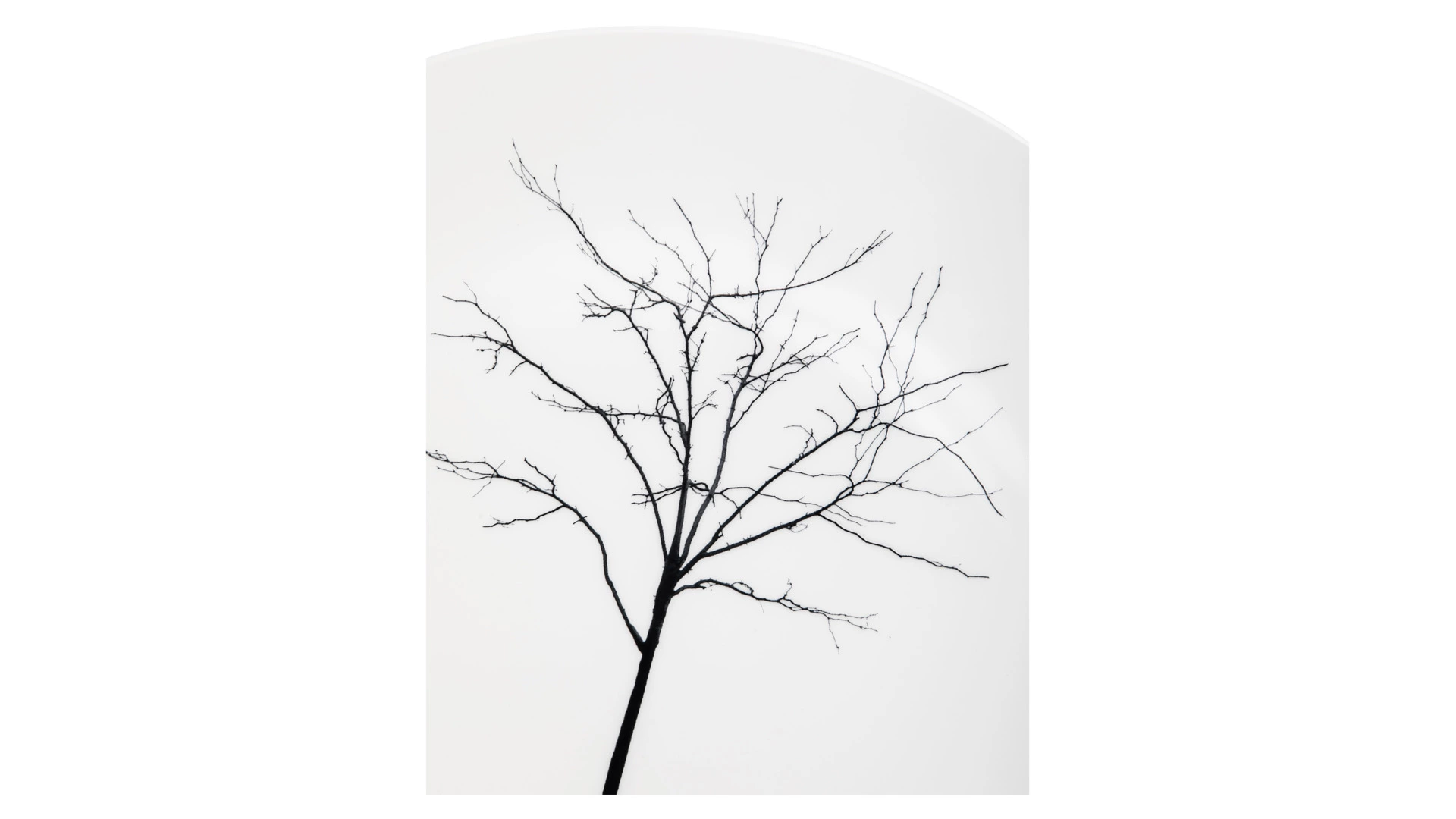 Тарелка подстановочная Dibbern Чёрный лес 32 см, фарфор костяной