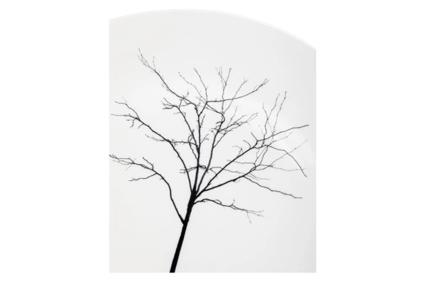 Тарелка подстановочная Dibbern Чёрный лес 32 см, фарфор костяной