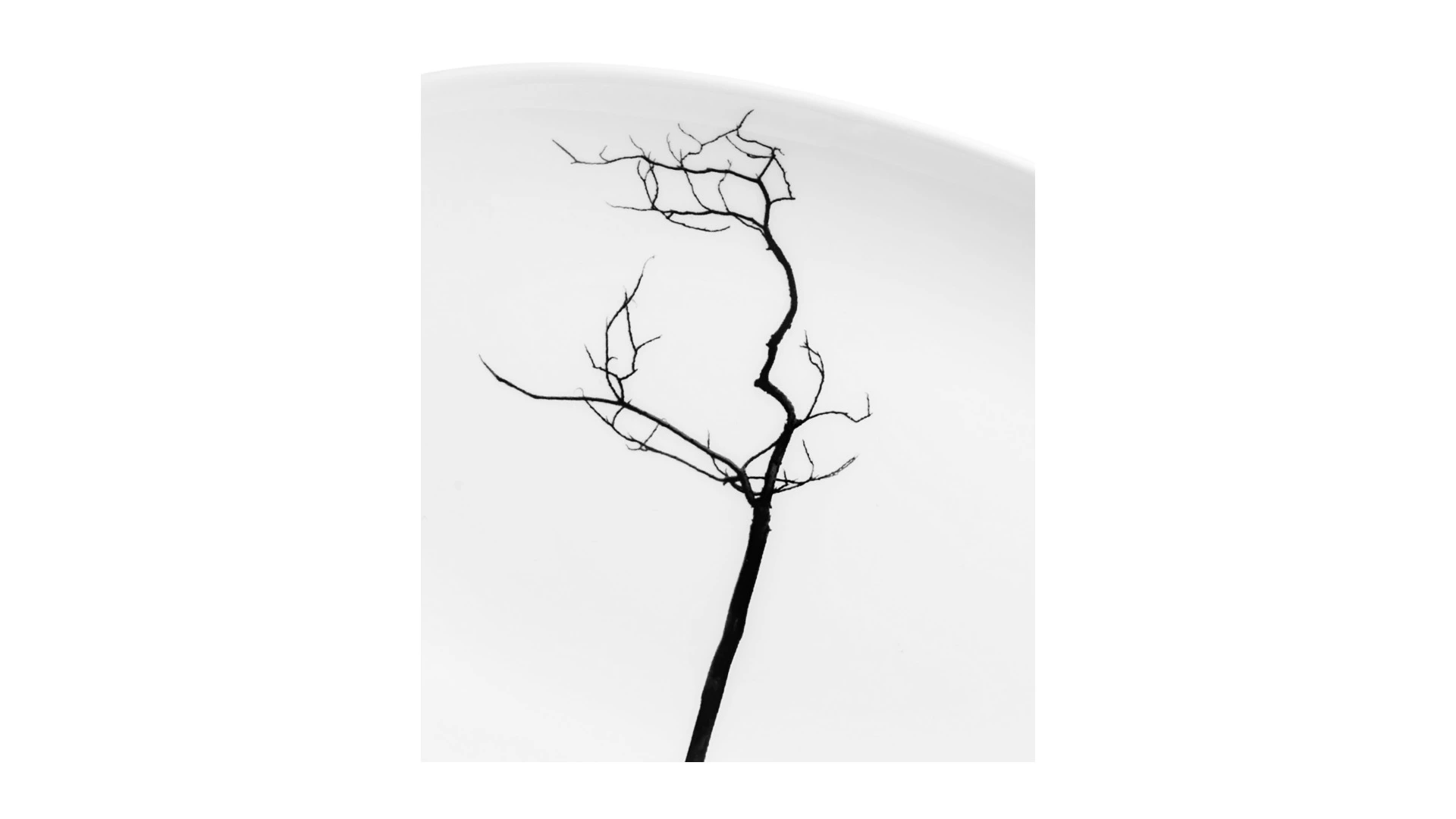 Блюдо овальное Dibbern Черный лес 24 см, фарфор костяной