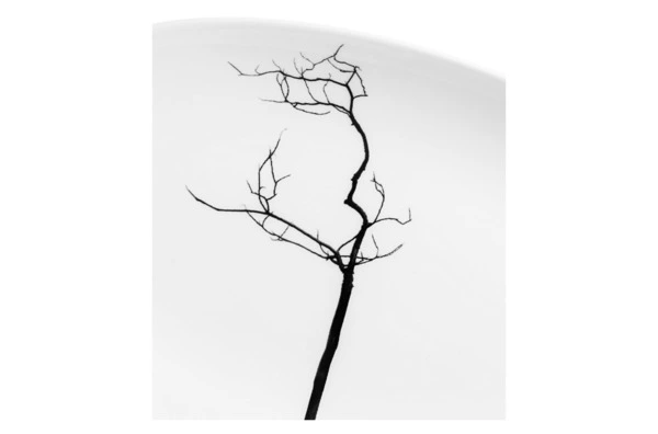 Блюдо овальное Dibbern Черный лес 24 см, фарфор костяной