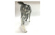 Скульптура ИФЗ Жеребенок пасущийся серый в яблоках, фарфор твердый