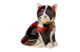 Пресс-папье Royal Crown Derby Пятнистый котенок 8 см