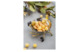 Чаша Michael Aram Золотая оливковая ветвь 16,5 см