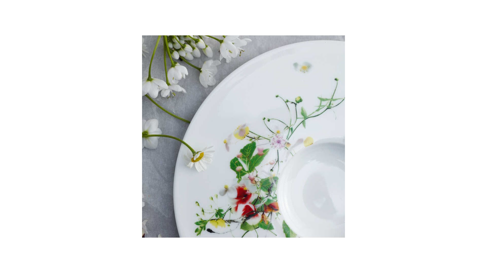 Тарелка суповая Rosenthal Дикие цветы 21 см, фарфор костяной