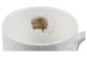 Кружка Royal Worcester Забавная фауна Пробуждение ежика 310 мл, фарфор костяной