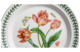 Тарелка обеденная Portmeirion Ботанический сад Тюльпаны 26,5 см