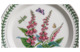 Тарелка обеденная Portmeirion Ботанический сад Наперстянка 26,5 см