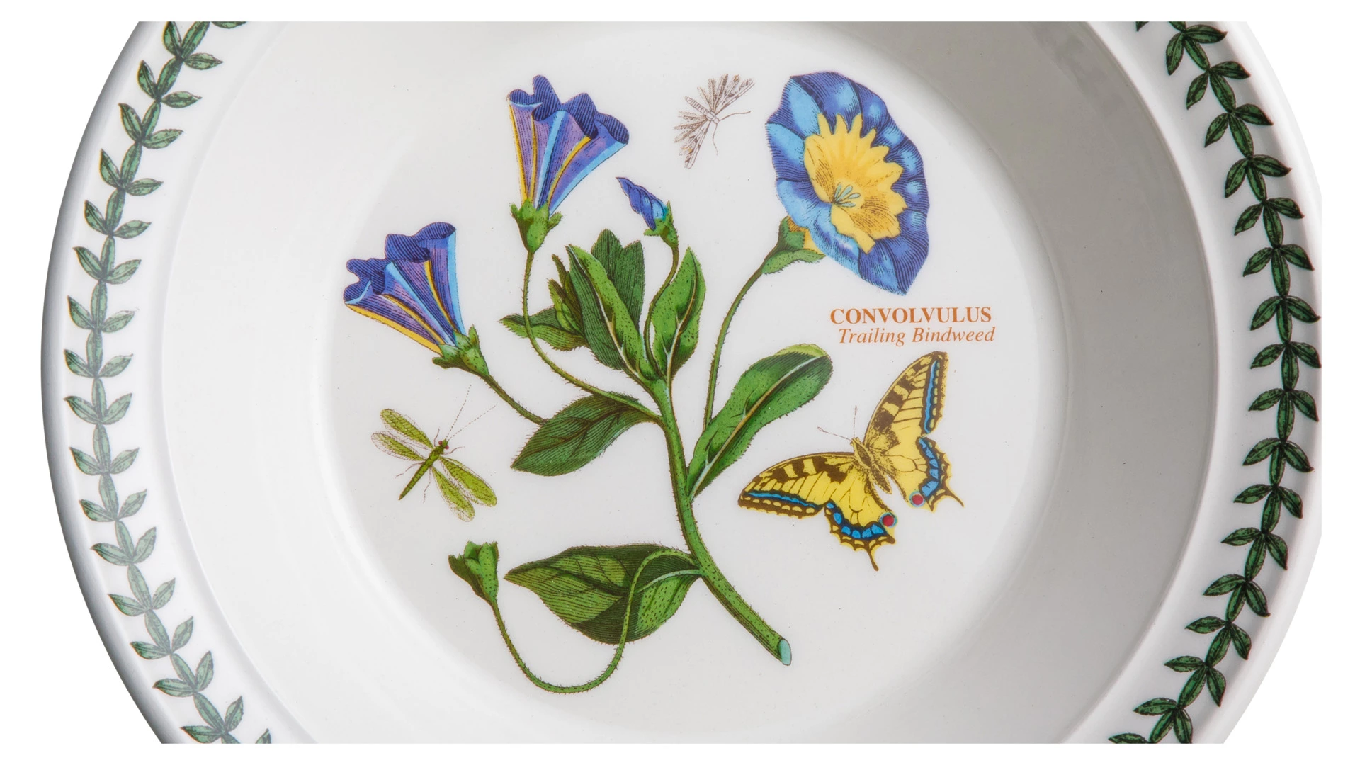 Тарелка суповая Portmeirion Ботанический сад Вьюнок 20 см