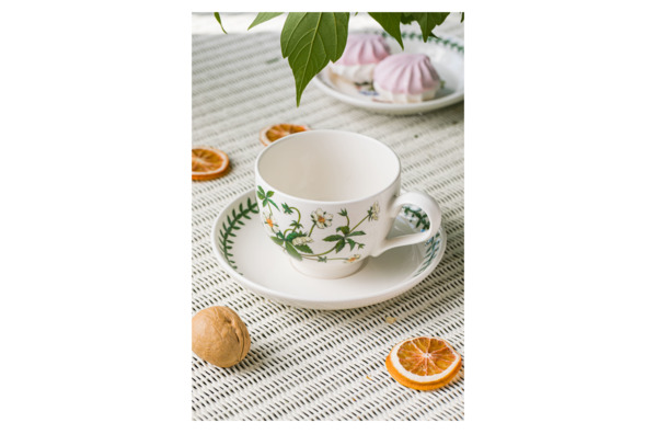 Чашка чайная с блюдцем Portmeirion Ботанический сад.Лапчатка 280мл, фарфор