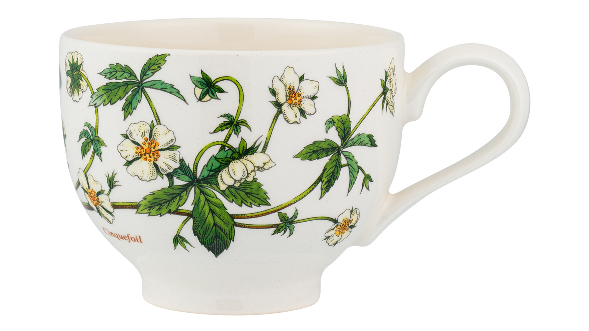 Чашка чайная с блюдцем Portmeirion Ботанический сад.Лапчатка 280мл, фарфор