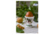 Подставка для яйца Portmeirion Ботанический сад Анагаллис 6 см