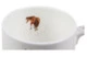 Кружка Royal Worcester Забавная фауна Лошадь 310 мл, фарфор костяной