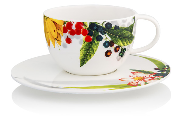Чашка чайно-кофейная с блюдцем Rosenthal Фруктовый сад 300мл, фарфор