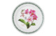 Тарелка обеденная Portmeirion Ботанический сад.Экзотические цветы. Орхидея 25 см