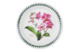 Тарелка закусочная Portmeirion Ботанический сад.Экзотические цветы. Орхидея 20 см