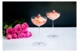 Набор бокалов для коктейлей Riedel Veritas Coupe/Cocktail 310мл, 2шт, стекло хрустальное
