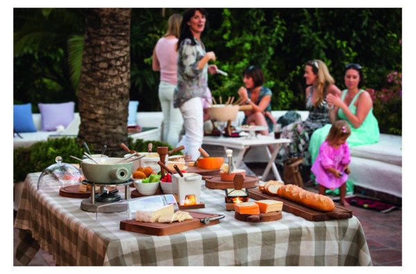 Набор для нарезки и хранения сыра Boska Париж с крышкой 31,5х23,5х10см