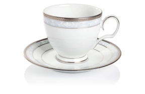 Чашка чайная с блюдцем Noritake Хэмпшир, платиновый кант 250 мл
