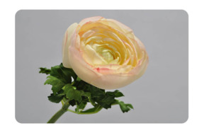 Цветок искусственный Silk-ka "Ранункулюс" 52см (кремовый)