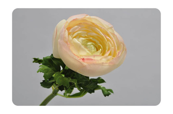 Цветок искусственный Silk-ka "Ранункулюс" 52см (кремовый)