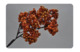 Ветка искусственная с ягодами Silk-ka 34см (оранжевая)