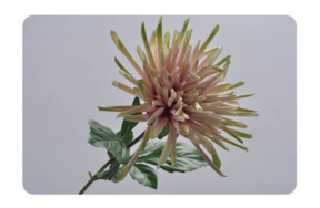 Цветок искусственный Silk-ka "Георгин" 66см (розово-зеленый)