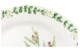 Тарелка обеденная Noritake Английские травы 27,5 см, фарфор костяной