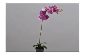 Цветок искусственный в горшке Silk-ka "Орхидея" 71см (розовая)