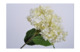 Цветок искусственный Silk-ka "Гортензия" 63см (белый)