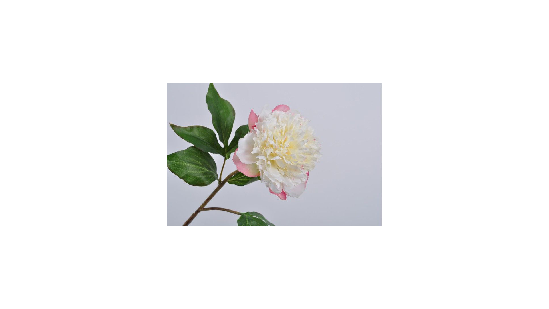 Цветок искусственный Silk-ka "Пион"  54см (бело-розовый)
