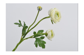 Цветок искусственный Silk-ka "Ранункулюс" 41см (кремовый)