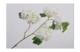Ветка искусственная Silk-ka "Калина" 70см (белая)