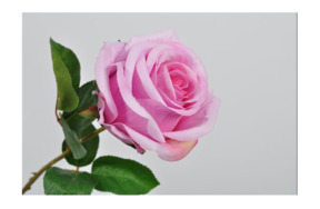 Цветок искусственный Silk-ka "Роза" 46см (розовый)