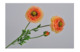 Цветок искусственный Silk-ka "Ранункулюс"  56см (оранжевый)
