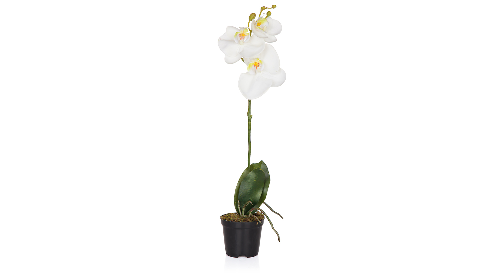 Цветок искусственный в горшке Silk-ka "Орхидея" 48см (белый)