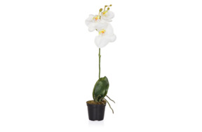 Цветок искусственный в горшке Silk-ka Орхидея 48 см, белый