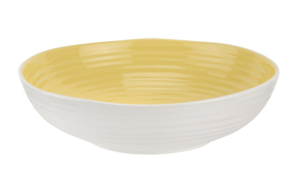 Набор тарелок для пасты Portmeirion Софи Конран для Портмейрион 23,5 см, 4 шт, в ассортименте