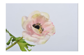 Цветок искусственный Silk-ka "Анемон" 44см (бело-розовый)